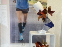 Visual Merchandising Münster VD-Innendesign VM