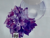 VD-Innendesign Visual Merchandising Münster Viktoriya Dües