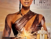 viktoriya dües, Vd-innendesign, Münster, Schaufenstergestaltung, Schaufenster, Schaufensterdekoration, Dekoration, visual merchandising, Dekorateur, gestalter, POS, Schaufenster Münster, Visual Merchandiser, Verkaufsfläche, Tom Tailor, Coaching im Verkaufsraum, Weihnachten, Weihnachtsdekoration Münster, Marry Christmas Münster